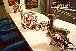 HOLIDAYS IN THE CITY